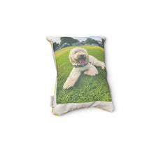 Load image into Gallery viewer, Personalised Pet Cushion - Single Sided